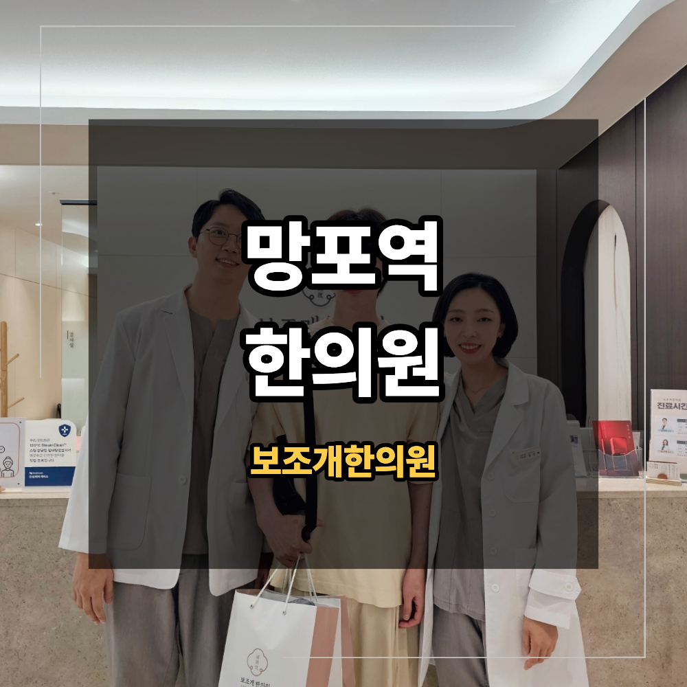망포역한의원 만성피로 소화불량 반복된다면 몸의 뿌리 살펴야 합니다